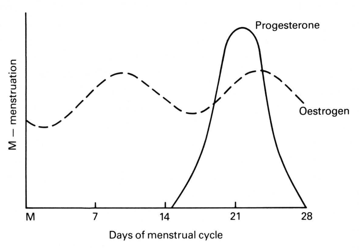 Modulating progesterone and eostrogen levels in the human female, from ‘Brainsex’ p. 72.