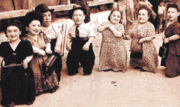 The Seven Dwarfs of Auschwitz