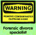 Forensic divorce specialist