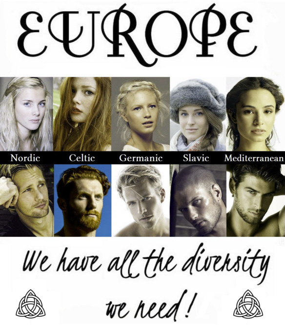 Europe: We have all the diversity we need!
