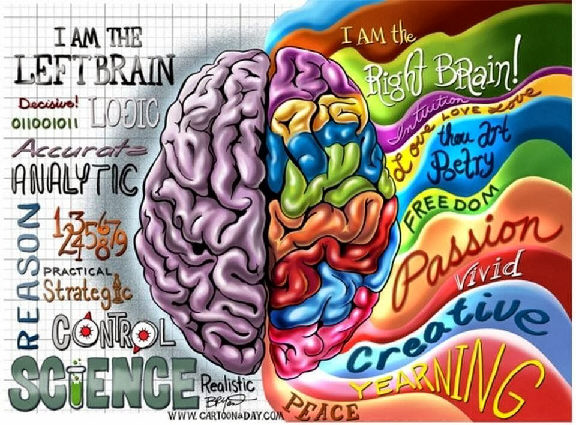 Left-Right-Brain