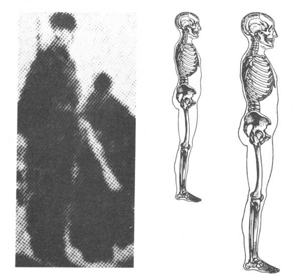 An anatomical comparison between a figure standing in the background of the photo and a true human form. The soldier is impossibly tall and his head is too small for his body.