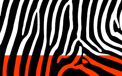 Zebra by Clark Howard