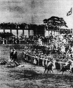 The scene after Emily Wilding Davison, a leading suffragette arsonist, walked onto the racecourse during the Derby of 4 June 1913